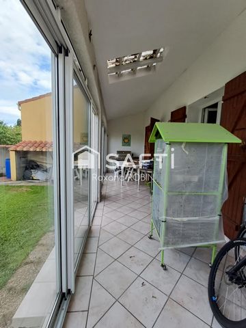photo no. 11
