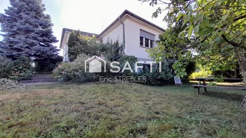 photo no. 11