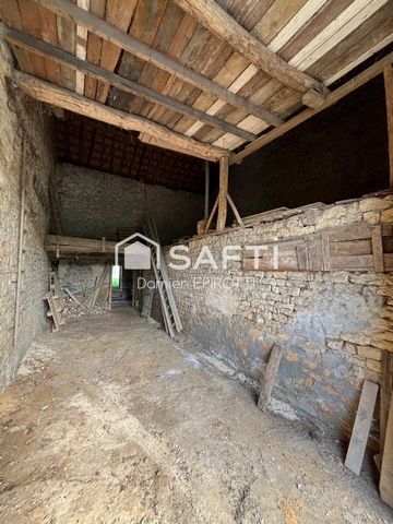 photo no. 4