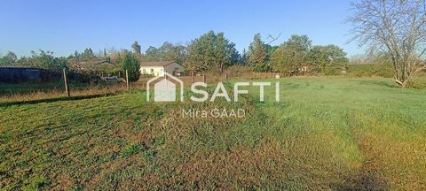 Grand terrain plat de 2300m2 NEGOCIABLE