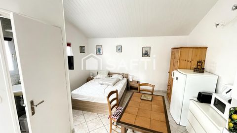 photo no. 13