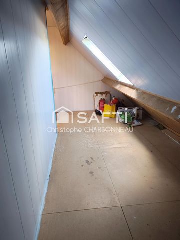 photo no. 10