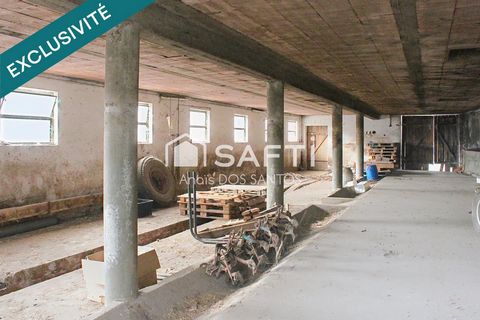 photo no. 7