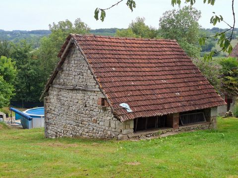 photo no. 7
