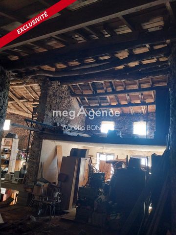 photo no. 11