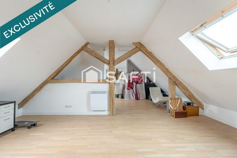 photo no. 12