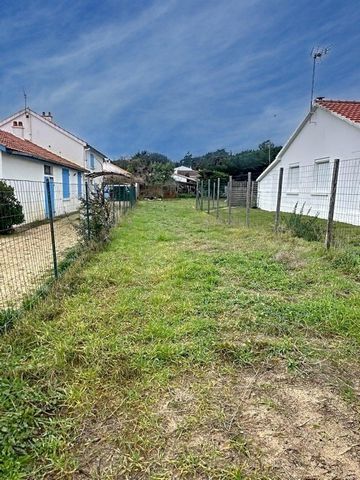 photo no. 2