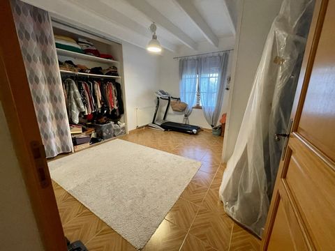 photo no. 7