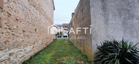 photo no. 10