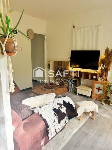 photo no. 11
