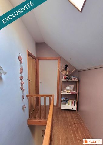 photo no. 11