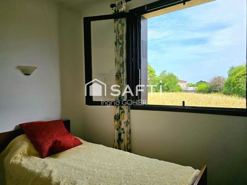 photo no. 10