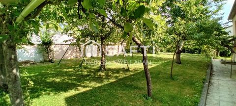 photo no. 5