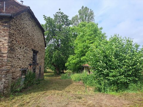 photo no. 4