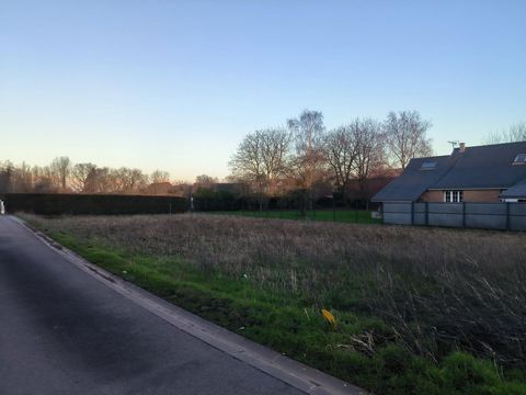 Terrain constructible