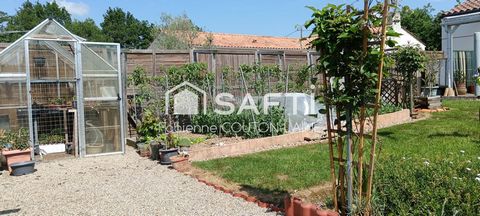 photo no. 13