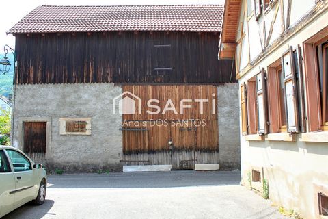 photo no. 3