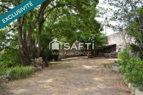 photo no. 18