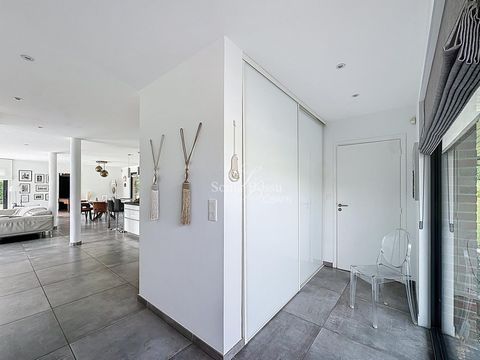 photo no. 2