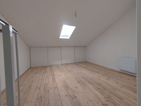 photo no. 4