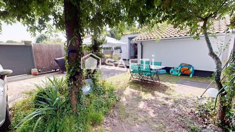 photo no. 8
