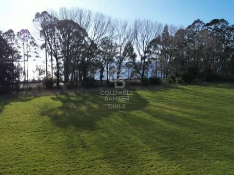 26.663 m² Land zum Verkauf, verteilt auf 5 Grundstücke (alle zusammen verkauft). Strategisch günstig gelegen mit 200 Metern Fassade an der Route V-225 in Richtung Ensenada, nur 50 Meter vom See und 20 Minuten (22 km) vom Hafenmeisteramt entfernt. Pre...