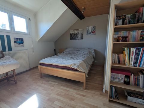 photo no. 15