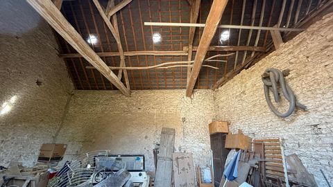 photo no. 9