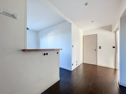 photo no. 6