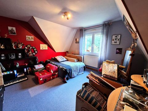 photo no. 10