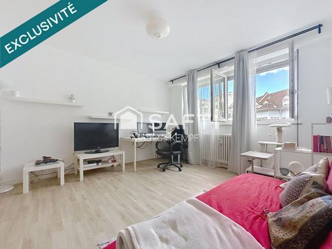 Grand Studio 27m² - Proche Orangerie - Bon Pasteur