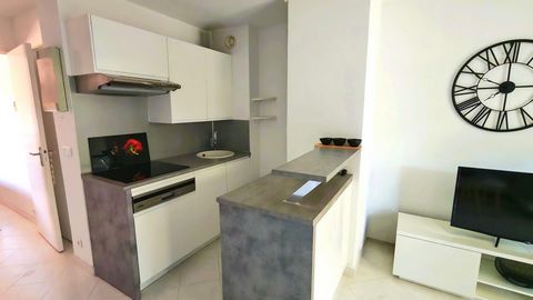 photo no. 4