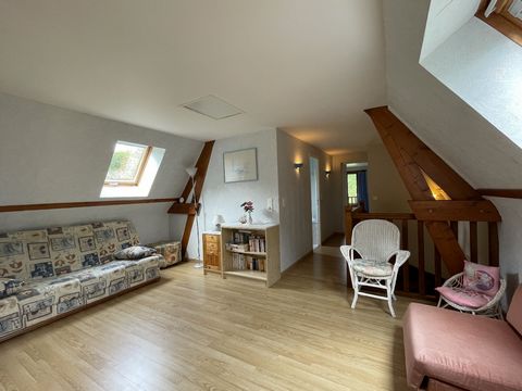 photo no. 4