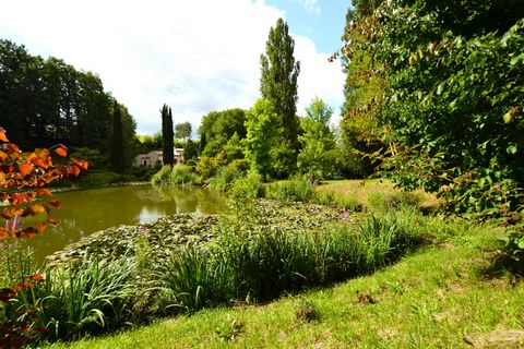 photo no. 16
