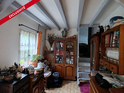 photo no. 6