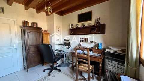 photo no. 10