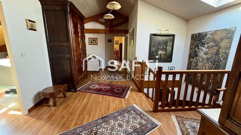 photo no. 12