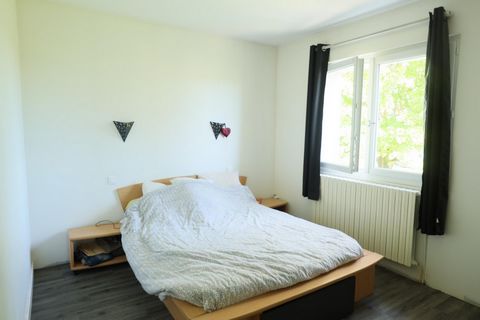 photo no. 11