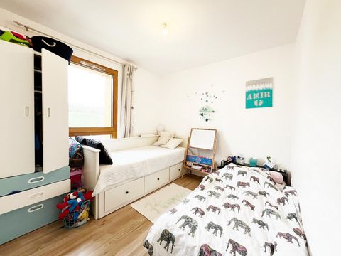 photo no. 11