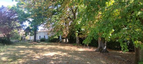photo no. 19