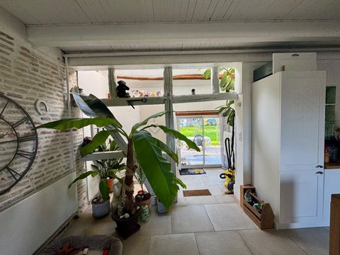photo no. 8