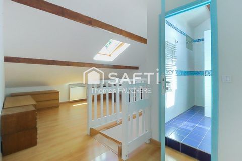 photo no. 11