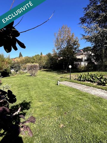photo no. 19