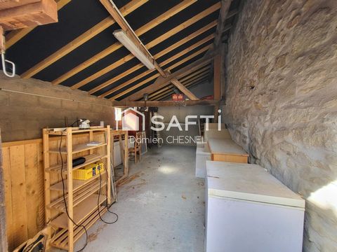 photo no. 11