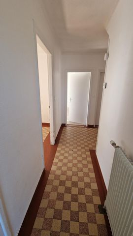 photo no. 6