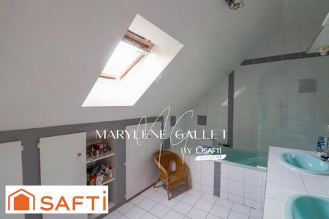 photo no. 11