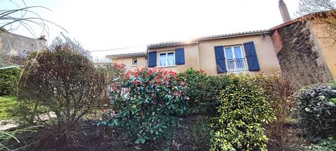 photo no. 17