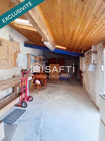 photo no. 9