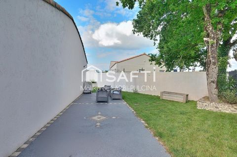 photo no. 17
