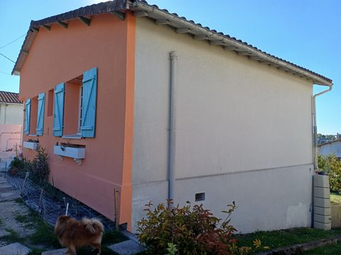 photo no. 2